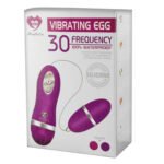 Vibrador Egg com Controle Remoto e 30 Modos de Vibração