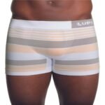Cueca Lupo Microfibra Listras - 00663-033 -