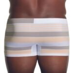 Cueca Lupo Microfibra Listras - 00663-033 - - Imagem 2